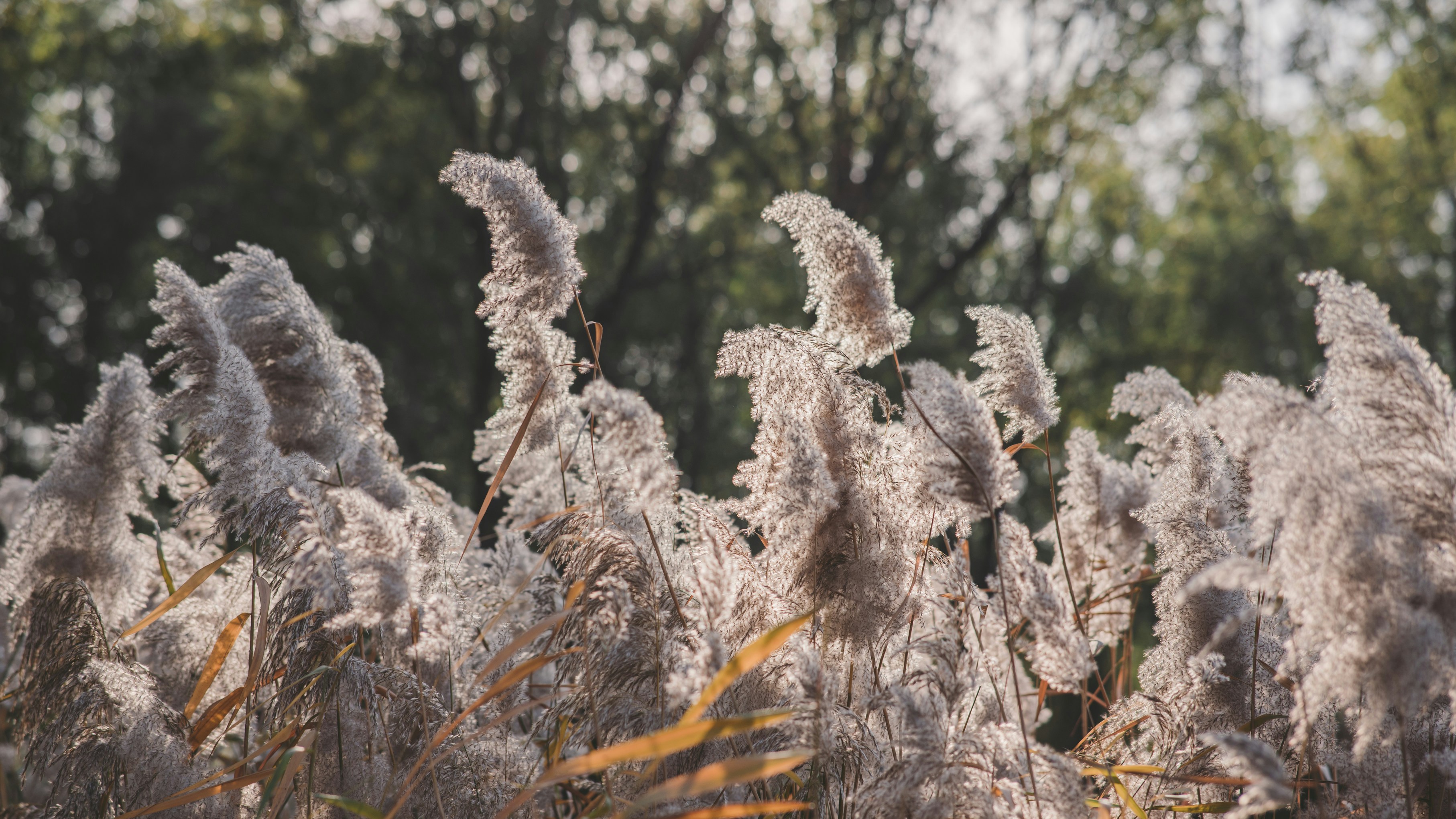 Photo by peek_a_boo_who