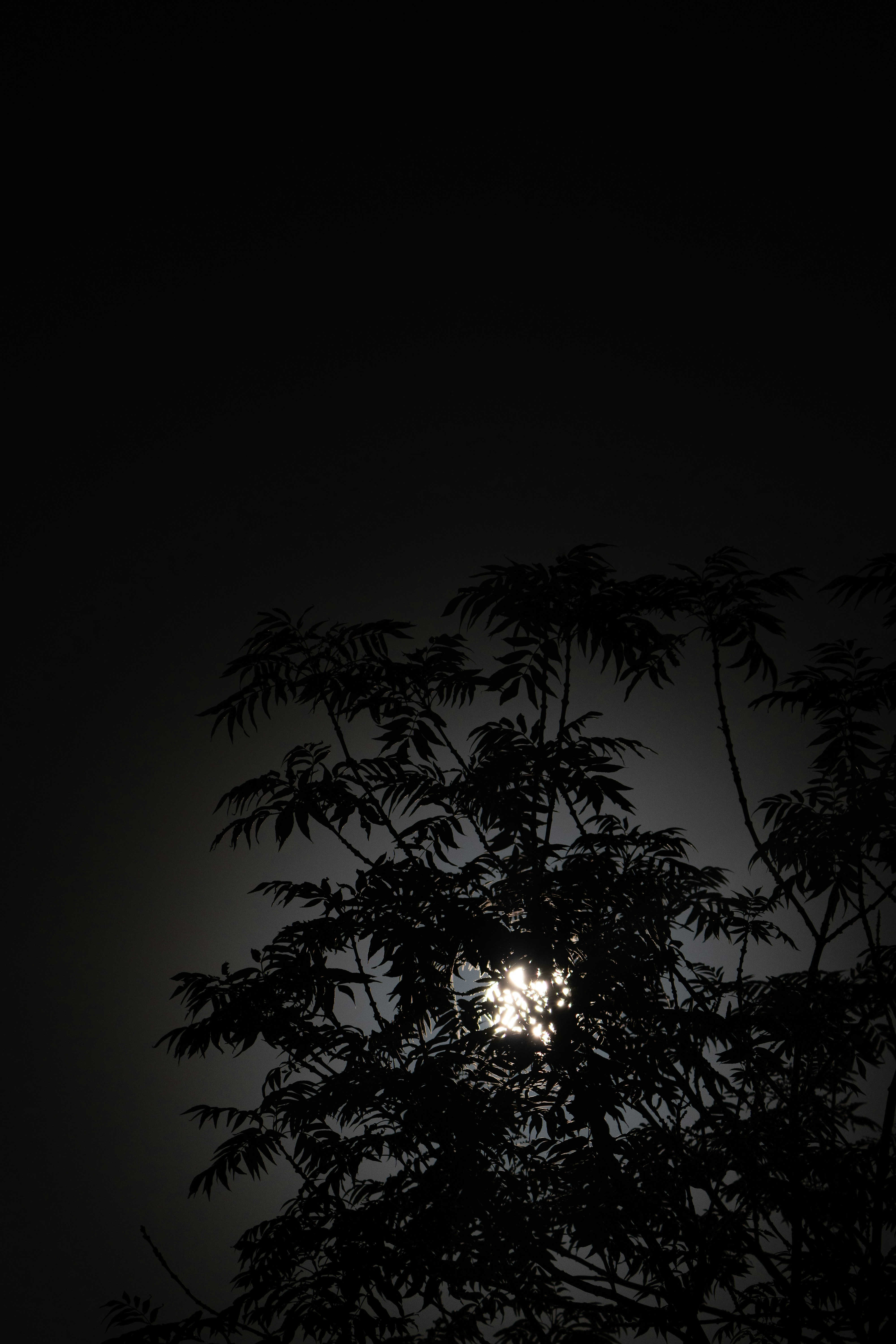 Photo by mariedehayes