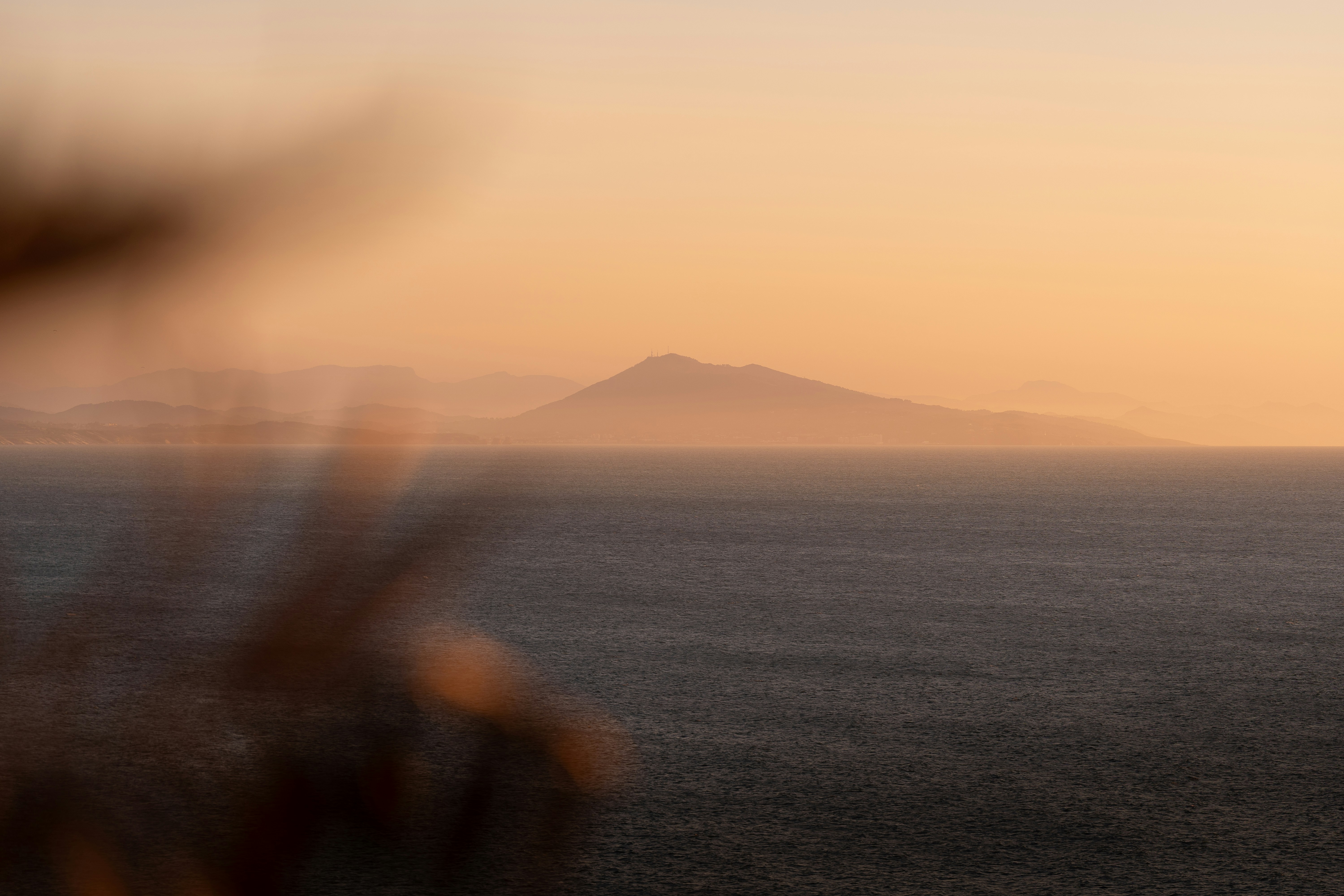 Photo by mariedehayes