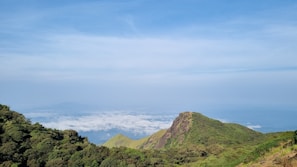 A scenic mountain landscape in Chiapas with lush greenery and mist rolling over the hills.
