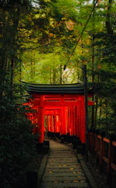 a path leading to a red tori tori tori tori tori tori tori tori tori tori