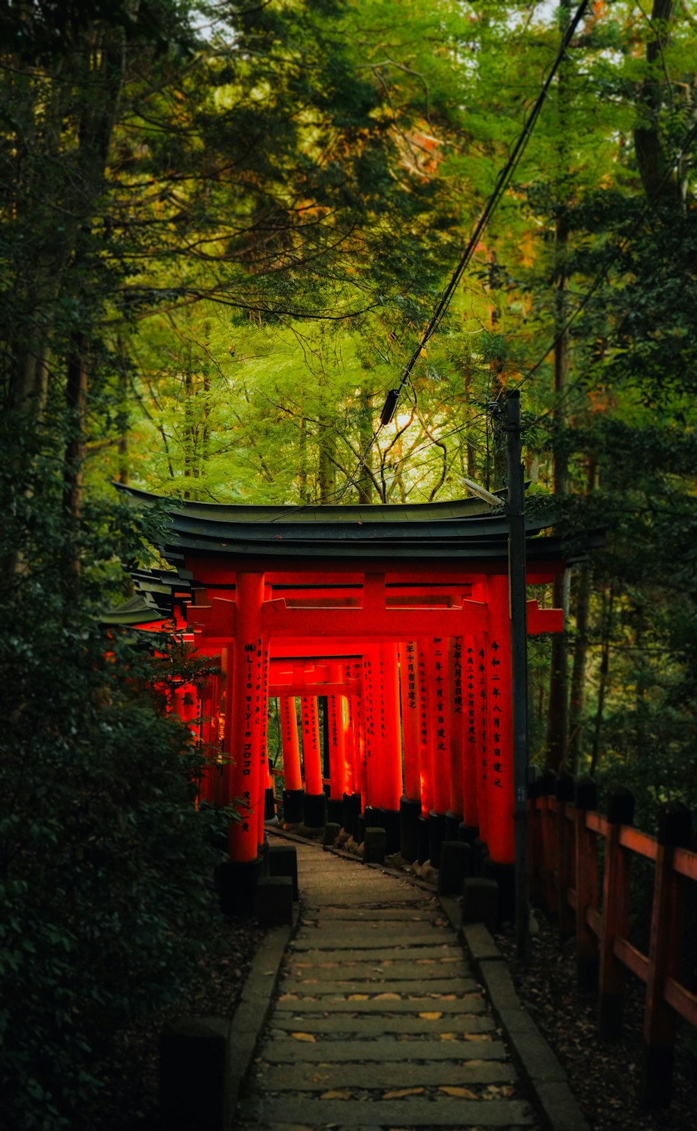 a path leading to a red tori tori tori tori tori tori tori tori tori tori