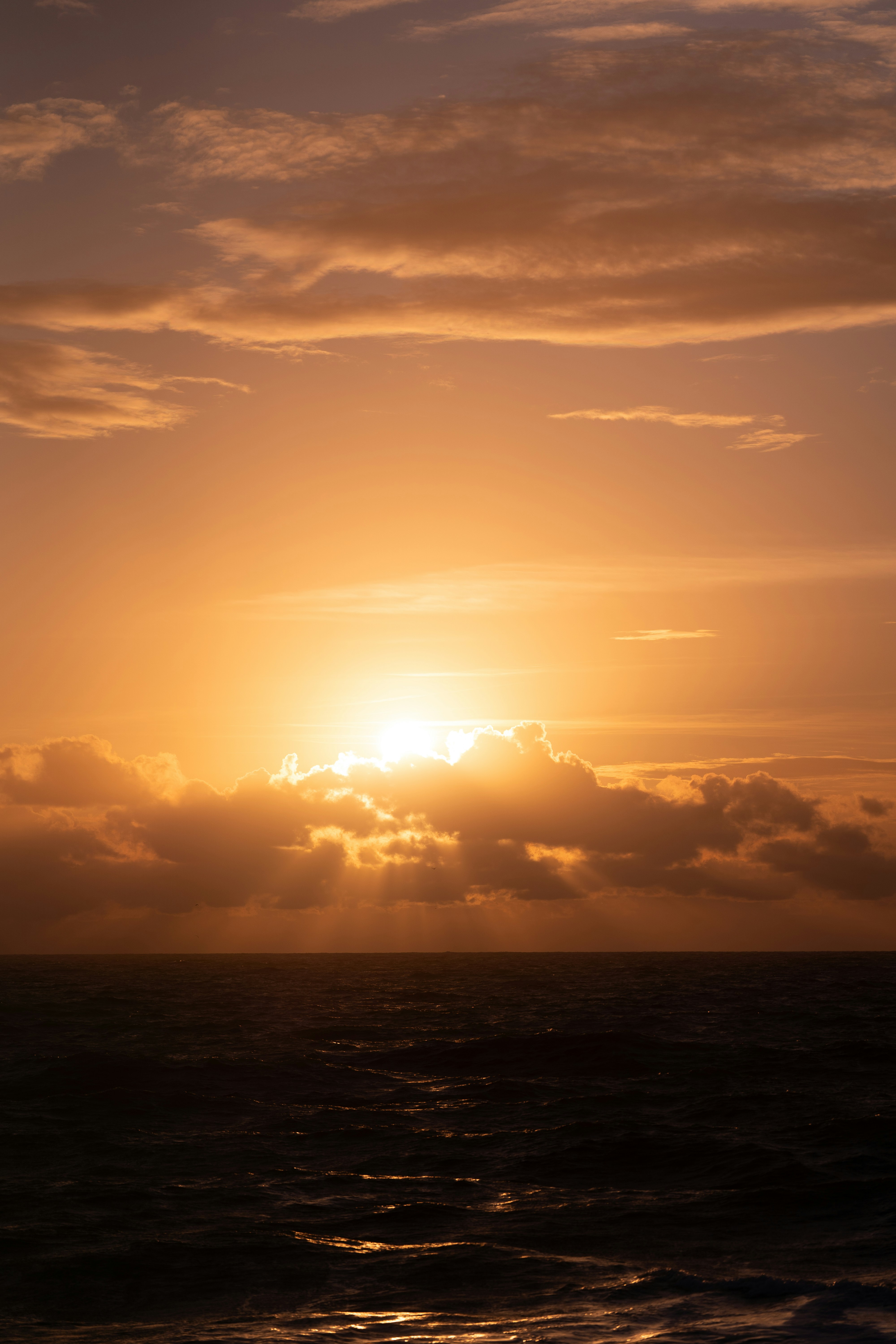 Photo by mariedehayes