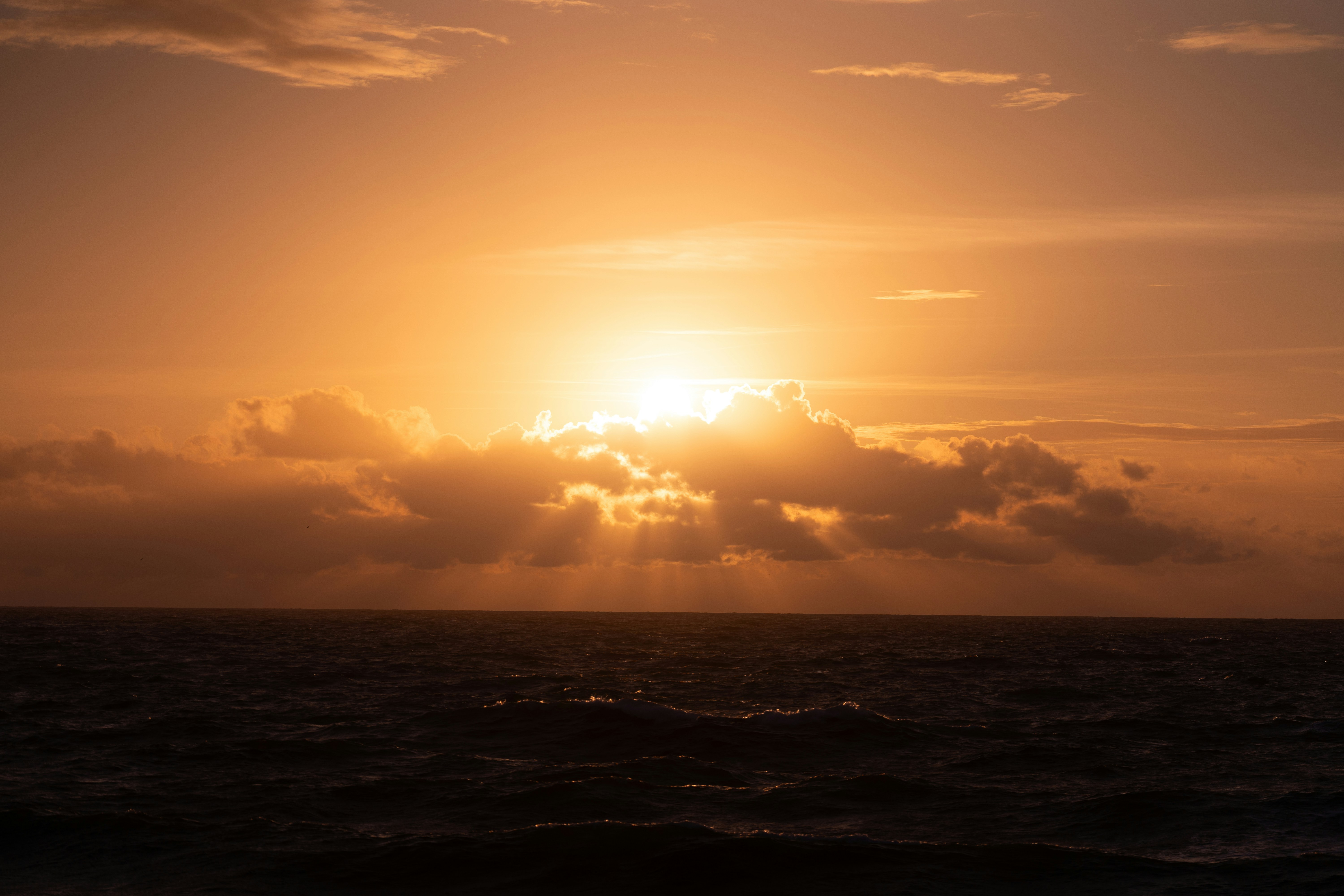 Photo by mariedehayes