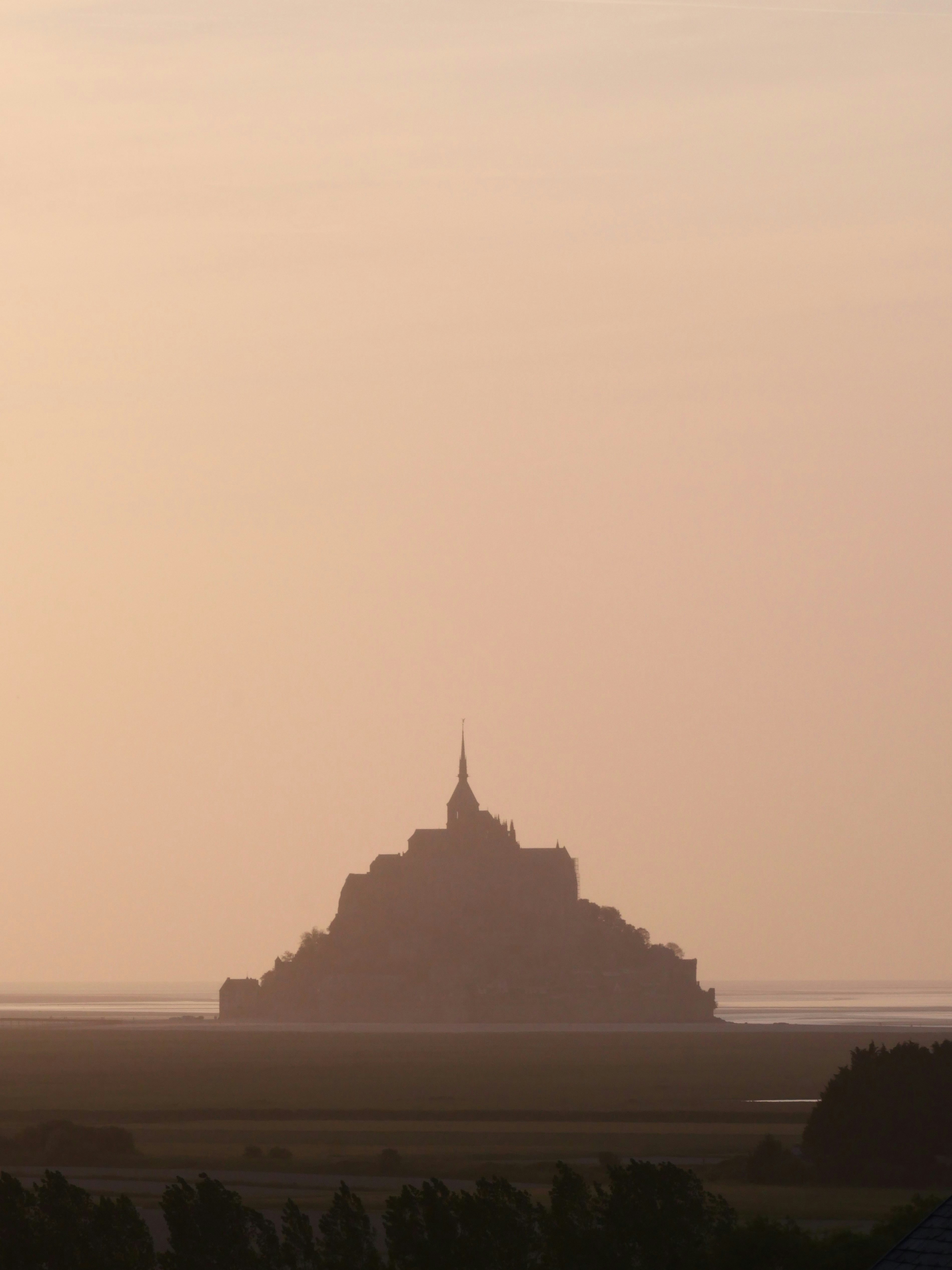 Photo by nimbus_vulpis