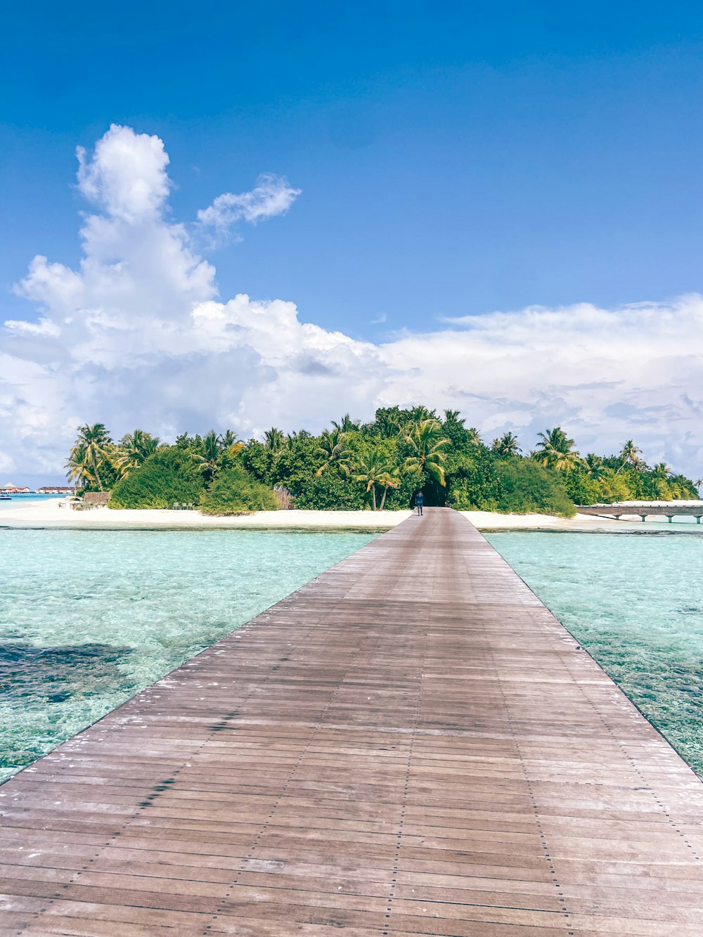 a wooden dock leading to an island in the ocean