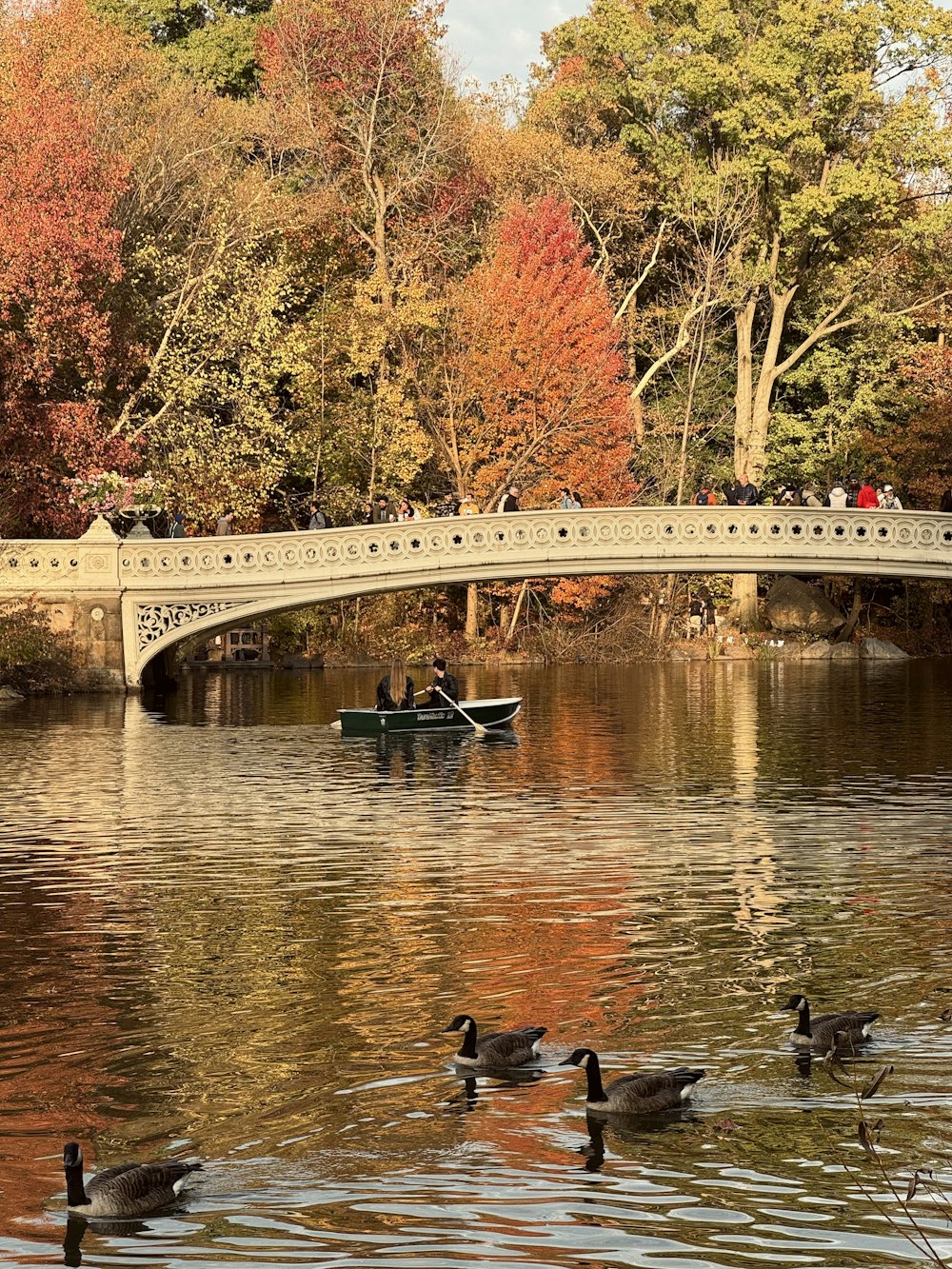 a group of ducks floating on top of a lake next to a bridge