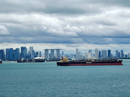 A bustling Hong Kong harbor with cargo ships and cranes under a clear sky.