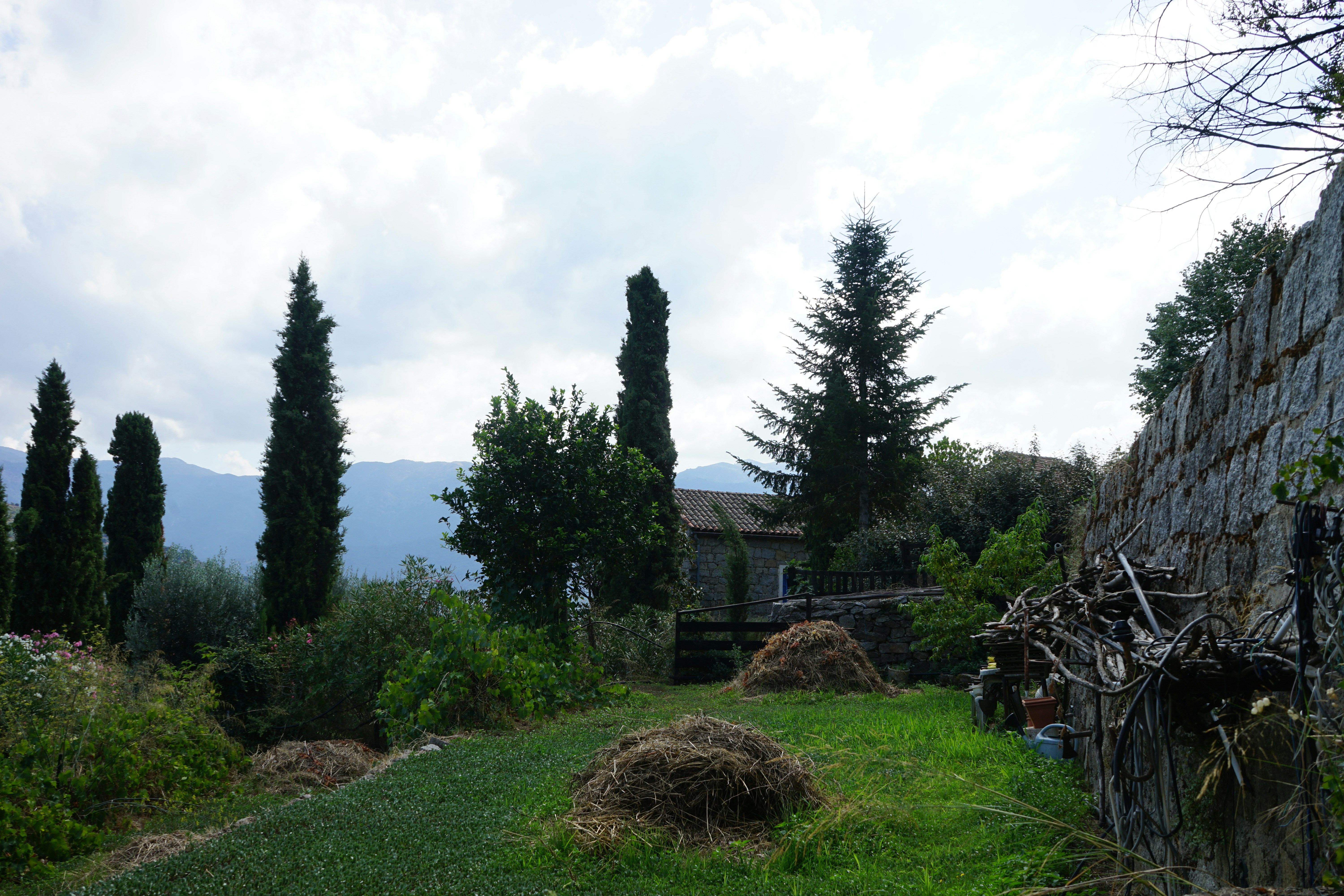 Photo by miramiranda