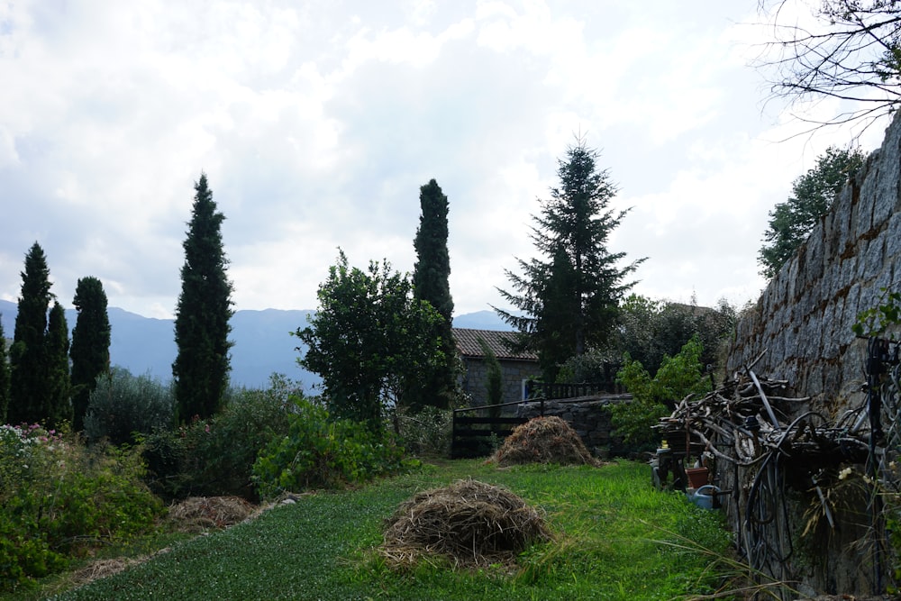 a grassy field with trees and a building in the background