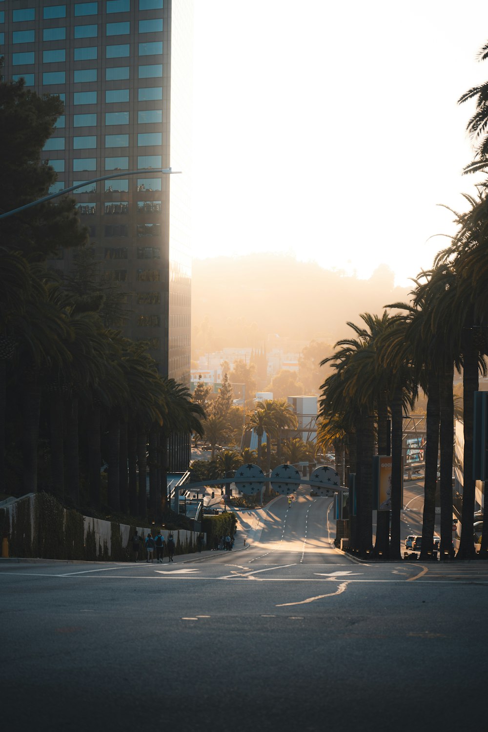 a street lined with palm trees and tall buildings