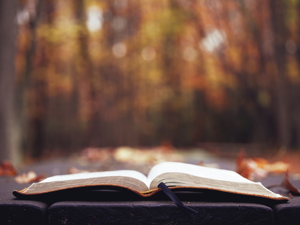 un livre ouvert posé sur une table