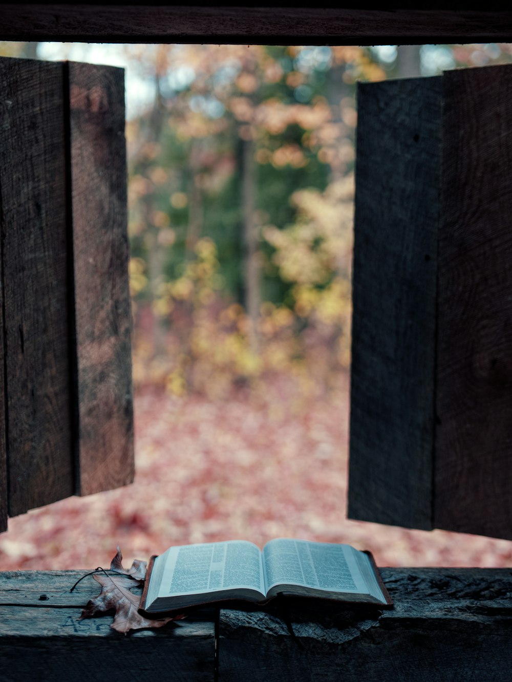 an open book sitting on top of a wooden bench