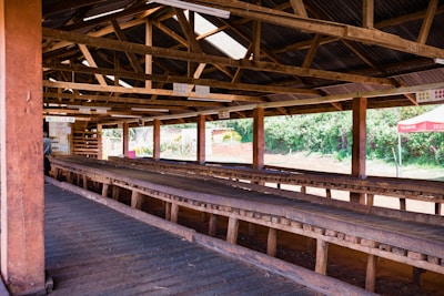 A long, open-air wooden structure with a slanted roof and wooden beams. Inside, there are parallel wooden drying tables or racks. The surrounding area outside is green with vegetation visible through the open sides. A few signs and posters are attached to the wooden posts. The structure is likely used for drying or processing agricultural products.