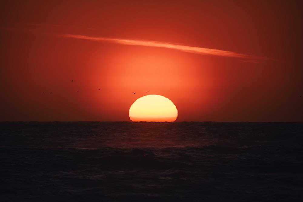 the sun setting over the ocean with birds flying in the sky