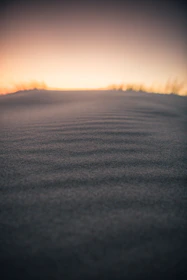 A dune landscape glowing softly under the sunset coral sky of the Sahara desert.