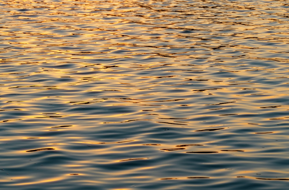 Um barco está flutuando na água ao pôr do sol
