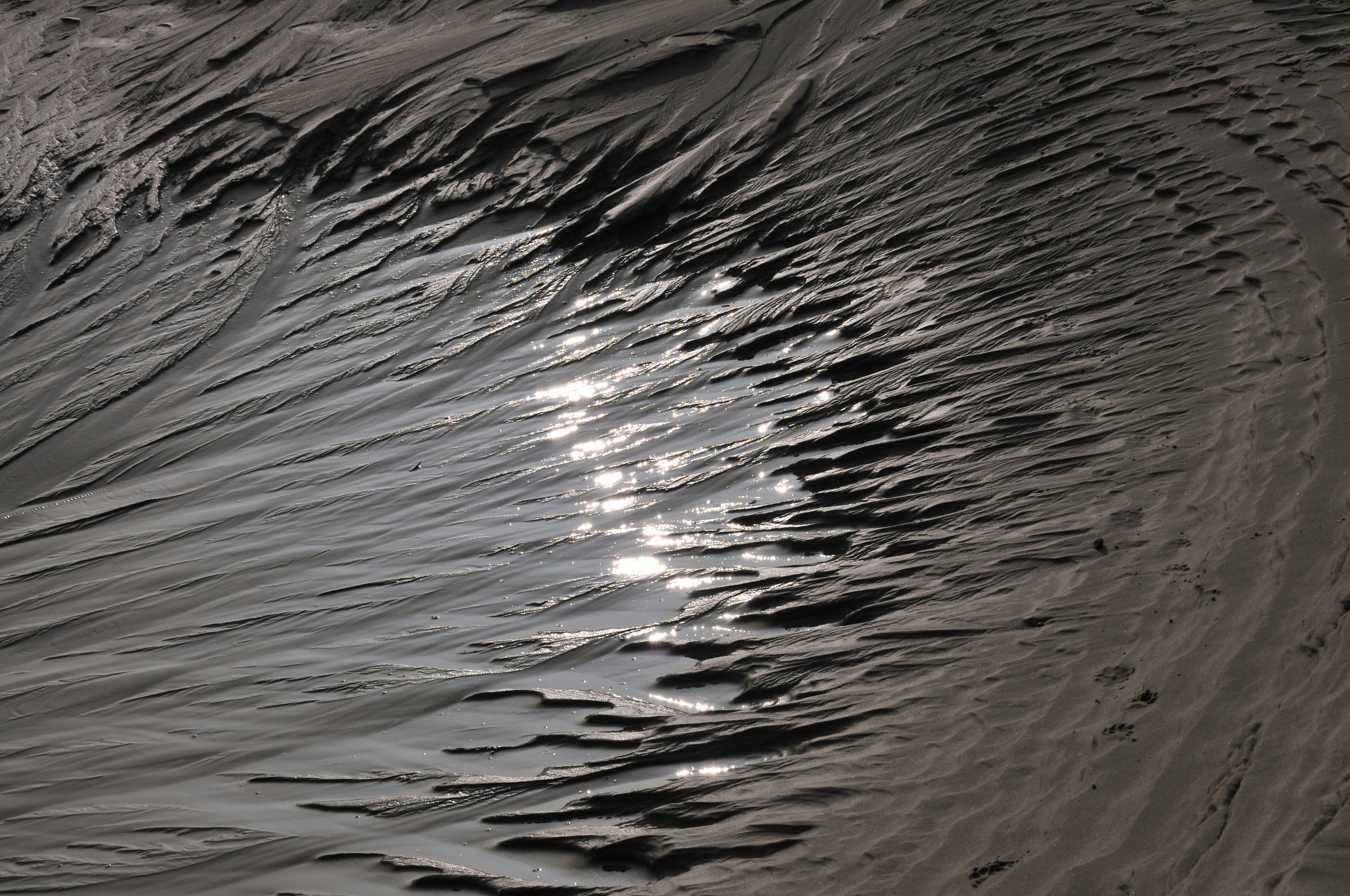 Photo by thomaslohmann