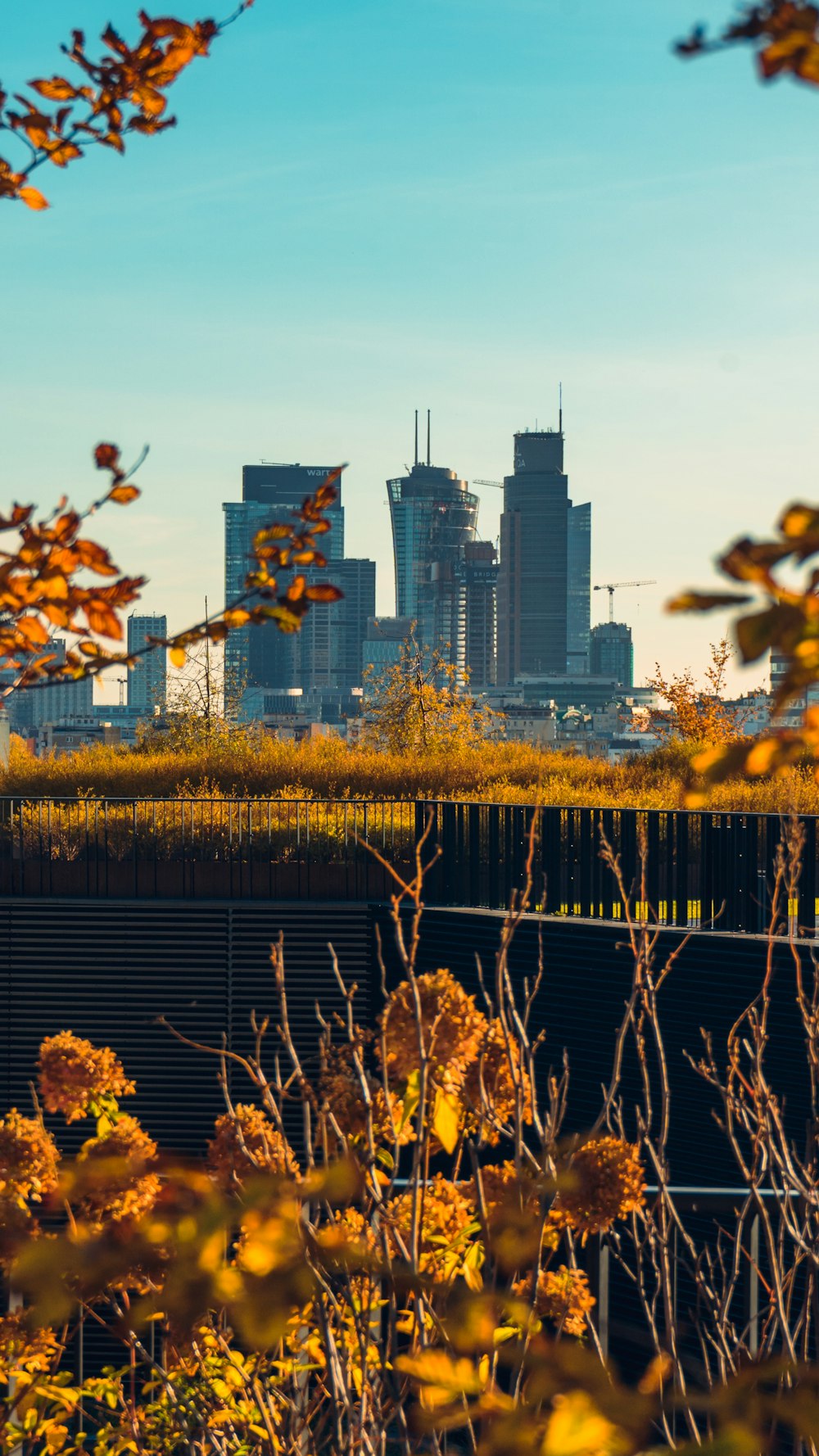 a view of a city with tall buildings in the background