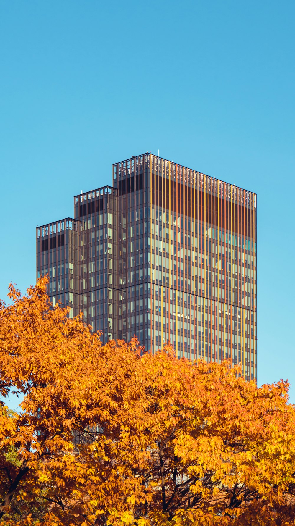 a tall building surrounded by trees with orange leaves