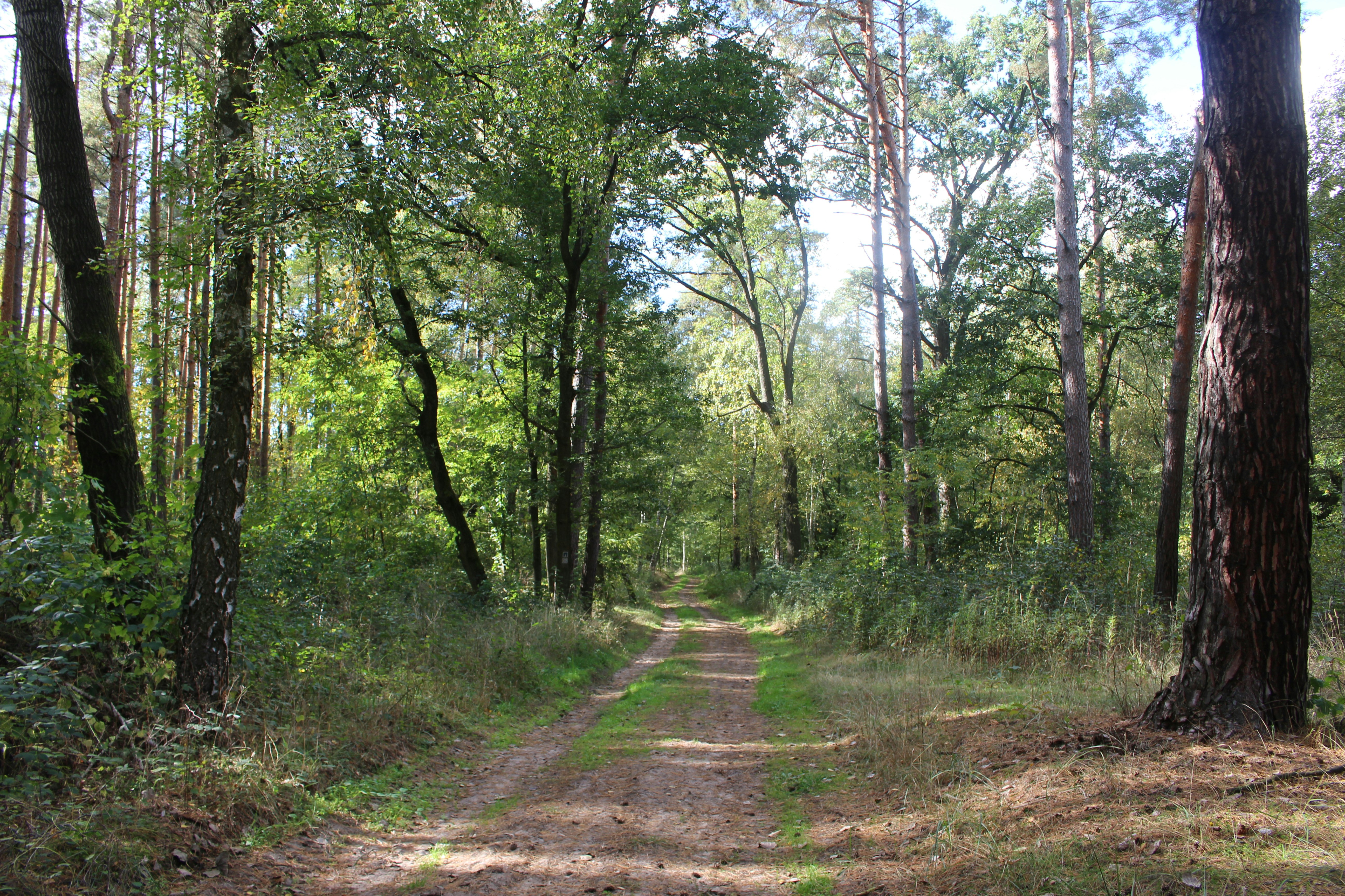 Photo by marjorylucabaxter