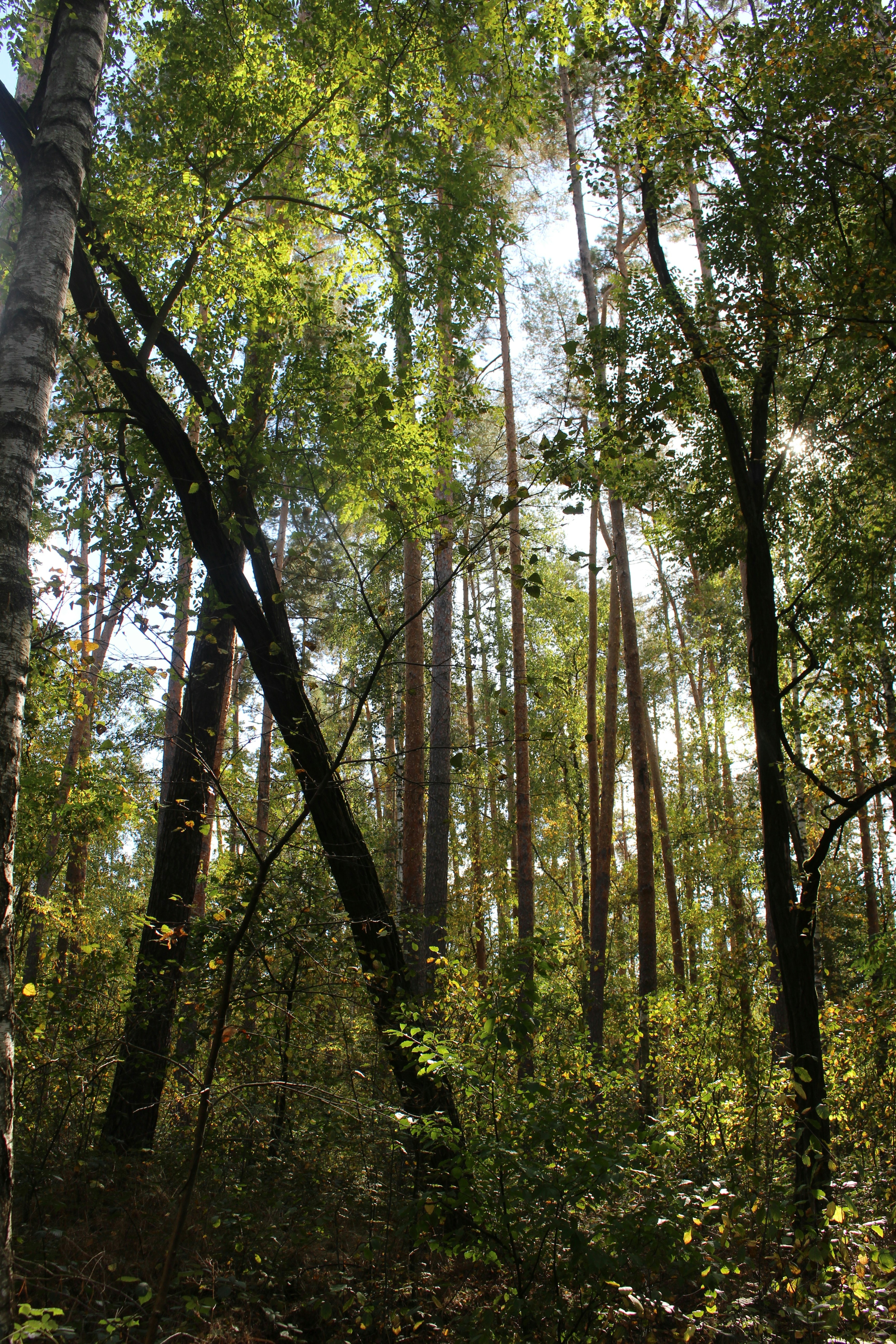 Photo by marjorylucabaxter