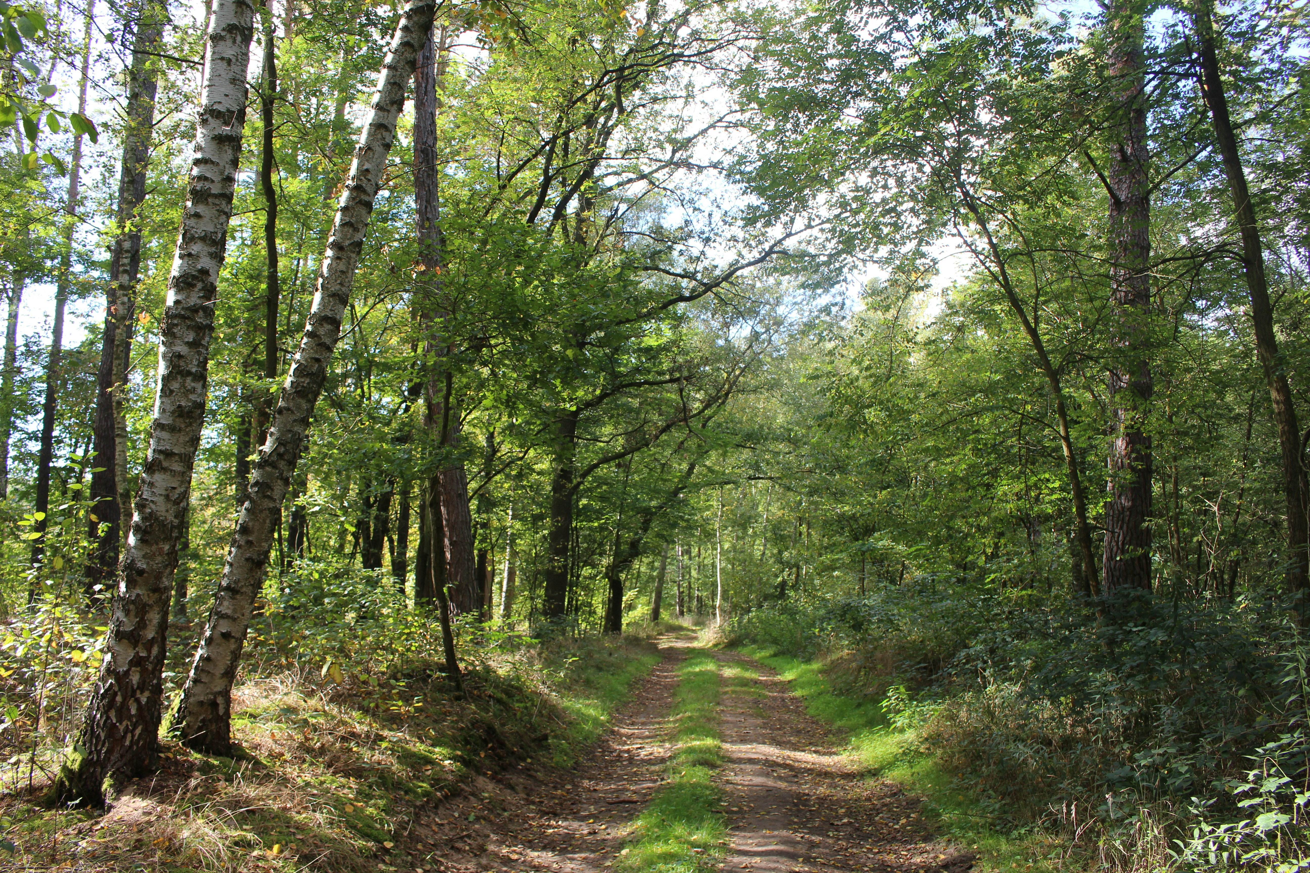 Photo by marjorylucabaxter