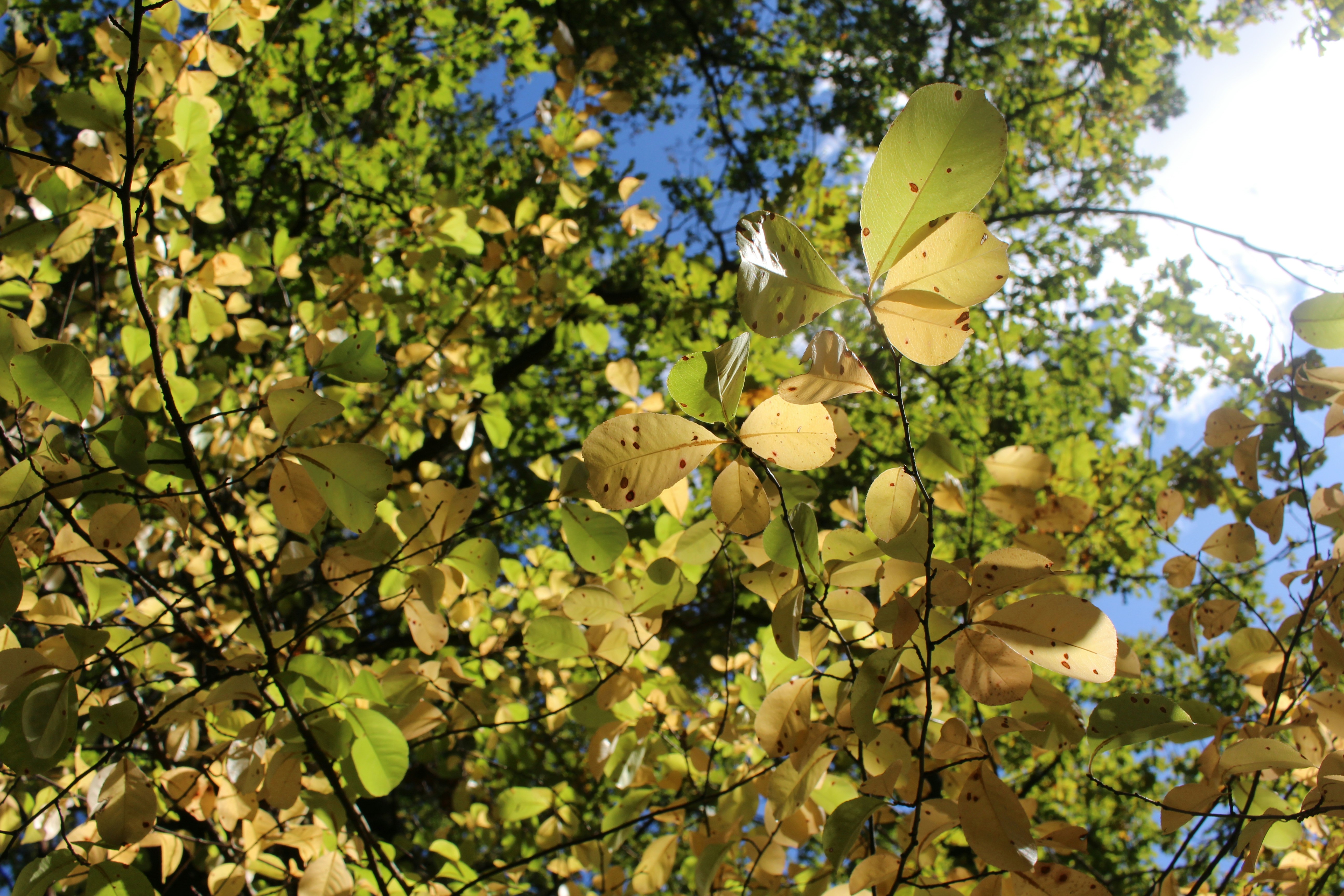 Photo by marjorylucabaxter