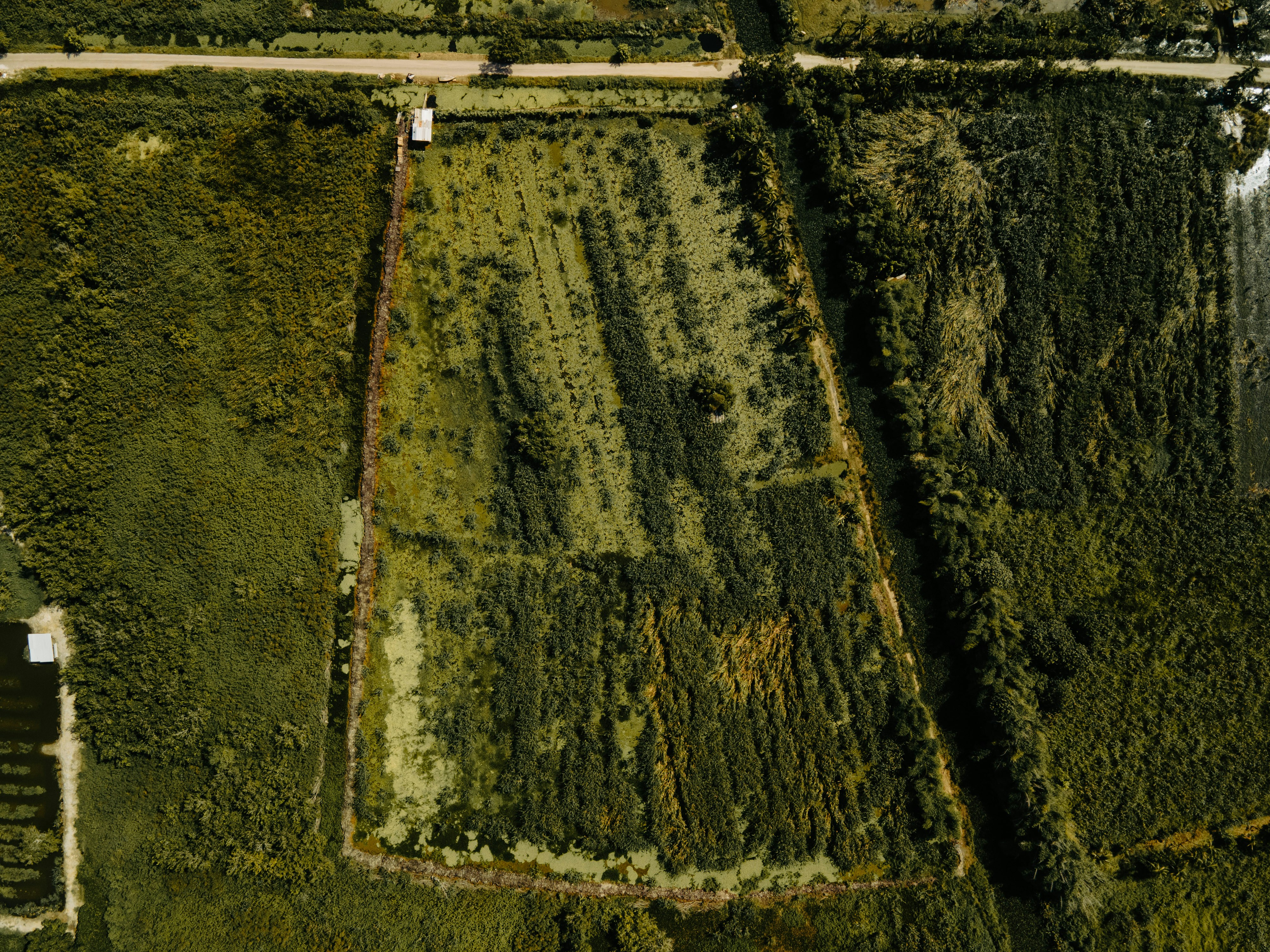 an aerial view of a field and road