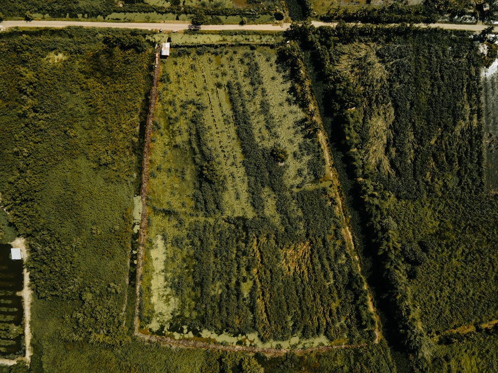 an aerial view of a field and road