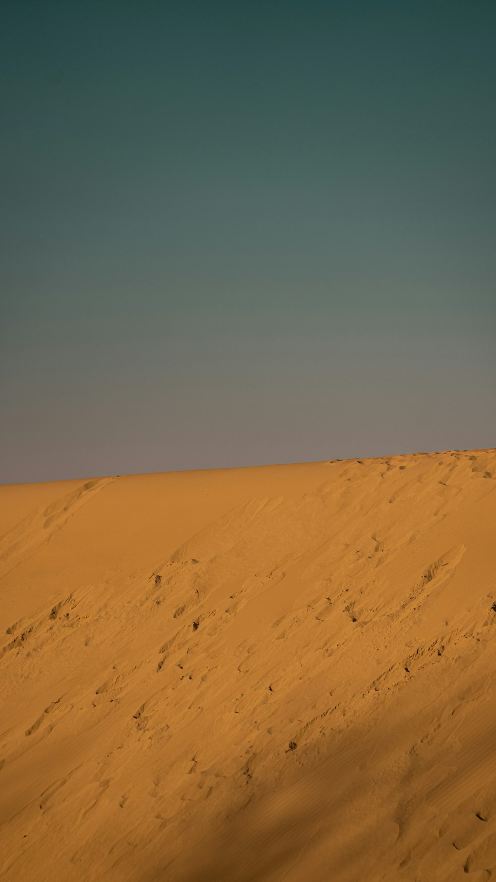 a lone horse standing in the middle of a desert