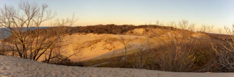 Golden desert dunes at sunset in the Arabian Peninsula.