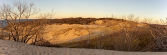 Golden Sahara dunes glowing under a warm sunset sky