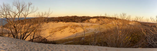 Golden desert dunes at sunset in the Arabian Peninsula.