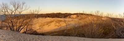 Golden sand dunes glowing under the setting sun near Jaisalmer.