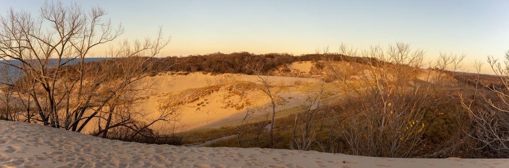 a hill covered in sand and trees with a sky background