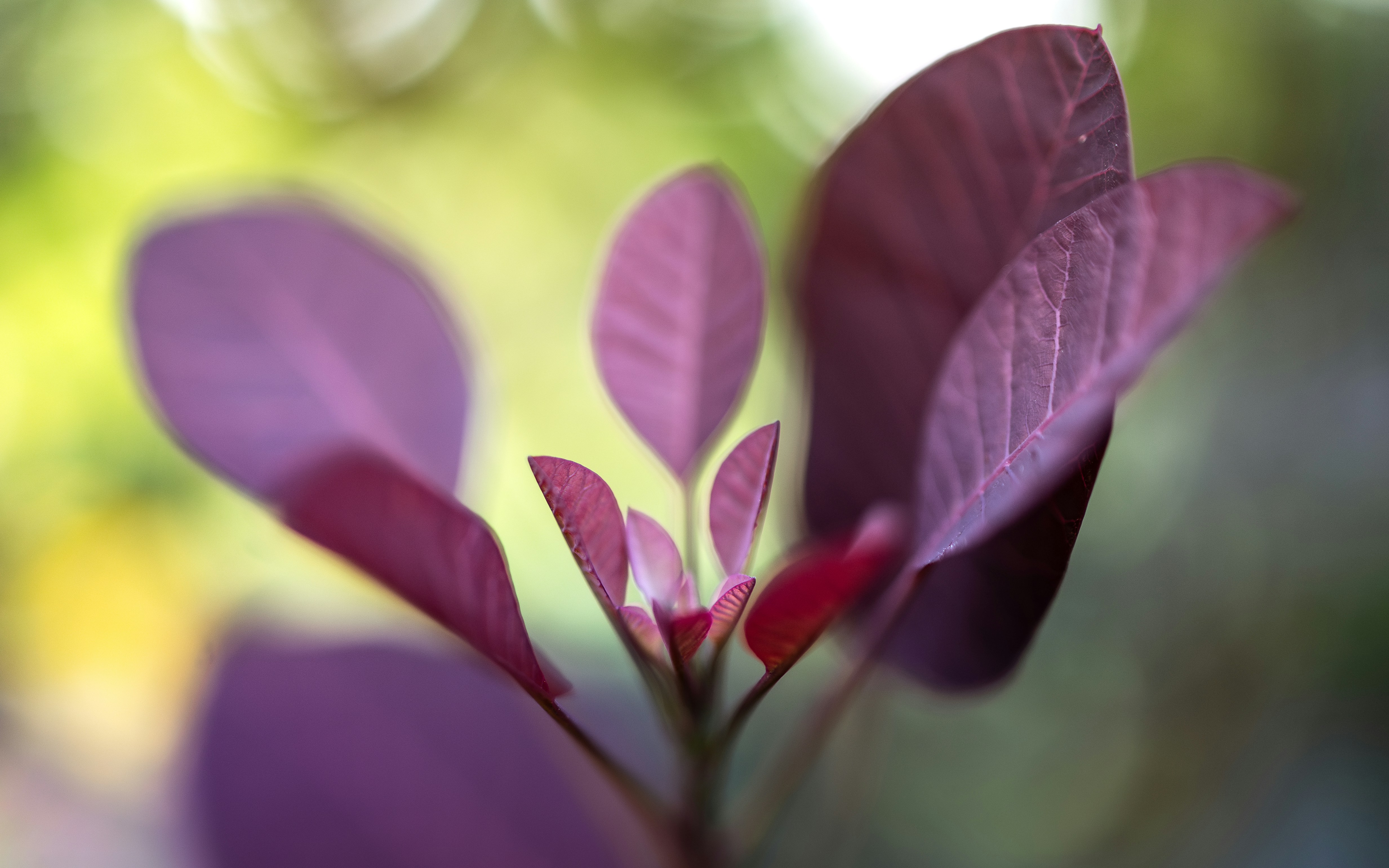 Photo by marekpiwnicki