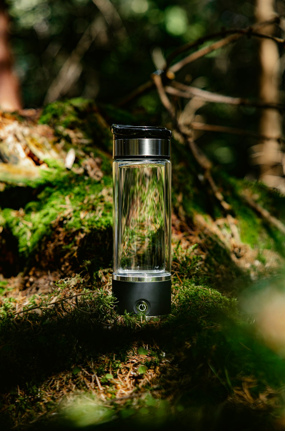 a lantern sitting on top of a lush green forest