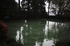 A reflective wet tennis court surrounded by tall trees and foliage, with a distant view of a cityscape partially visible through the trees. The overcast sky creates a dim and moody ambiance.
