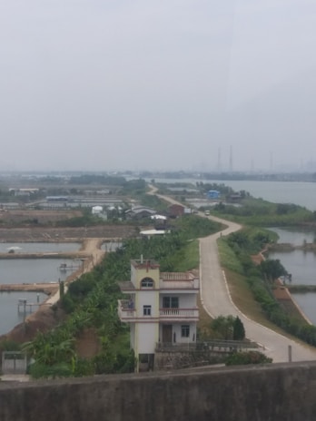 A rural landscape featuring a narrow road bordered by lush greenery, leading to a small building with multiple floors. There are bodies of water on either side of the road, possibly fish ponds or rice fields. In the background, there appears to be industrial structures, partially obscured by haze.