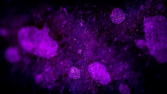 Dark grainy texture background with swirling gold and neon violet fractals.
