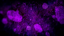 Close-up of a vibrant neon purple graphic design on a digital tablet screen.