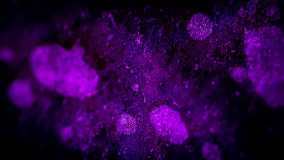 Close-up of a glowing purple neural network pattern on a dark background.