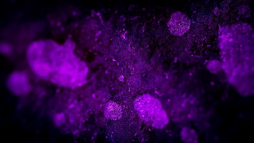Dark grainy texture background with swirling gold and neon violet fractals.