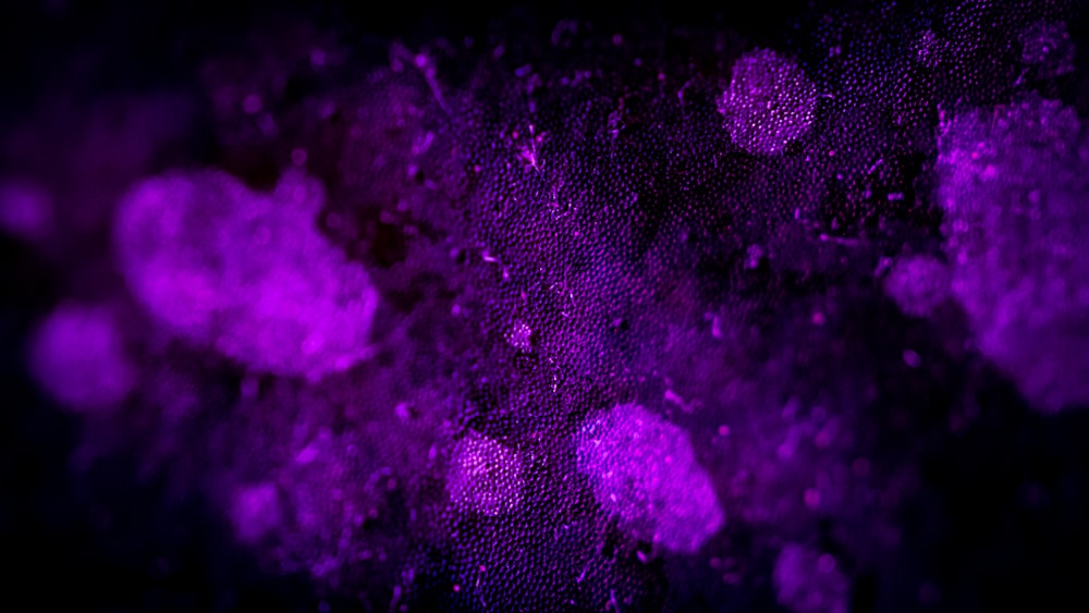 a close up of a cell phone with a purple background