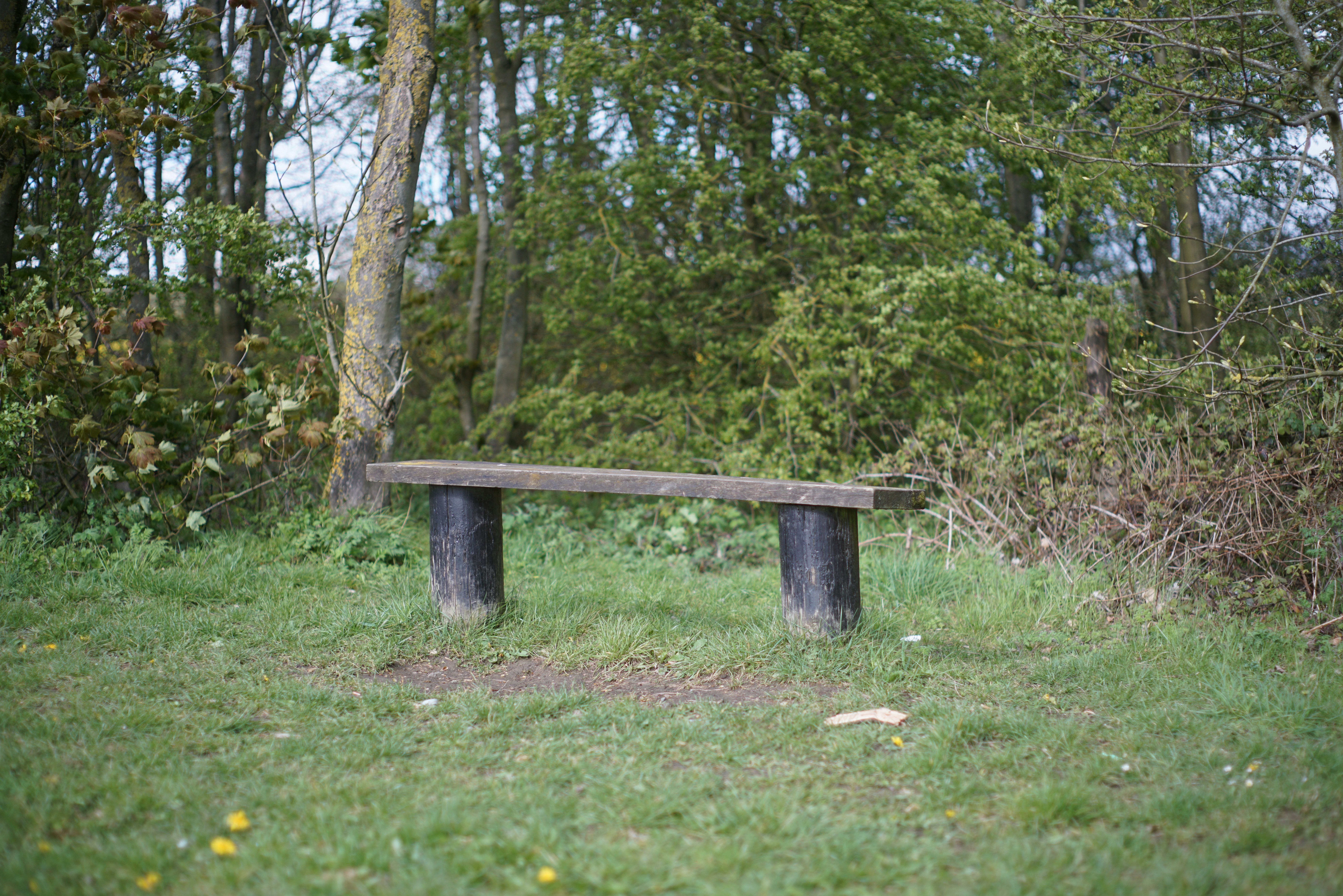 a wooden bench sitting on top of a lush green field
