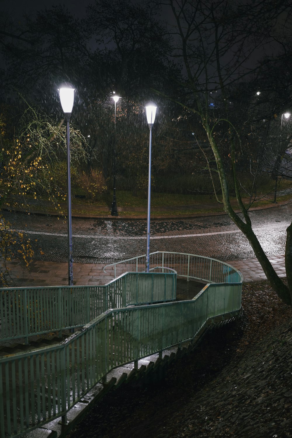 a street light on a rainy night in a park