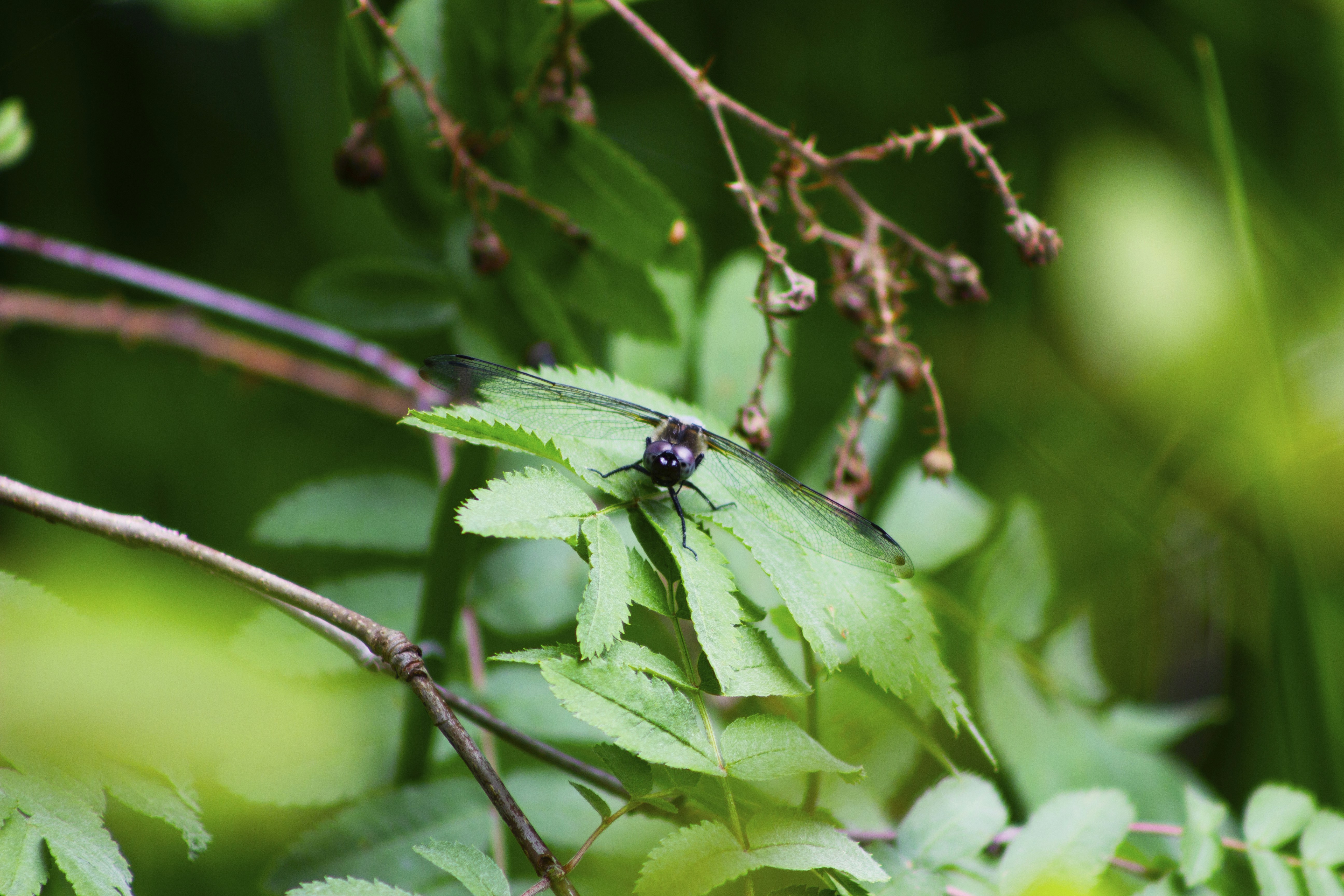 Photo by happy_sad_repeat