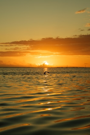 the sun is setting over the ocean with a boat in the distance