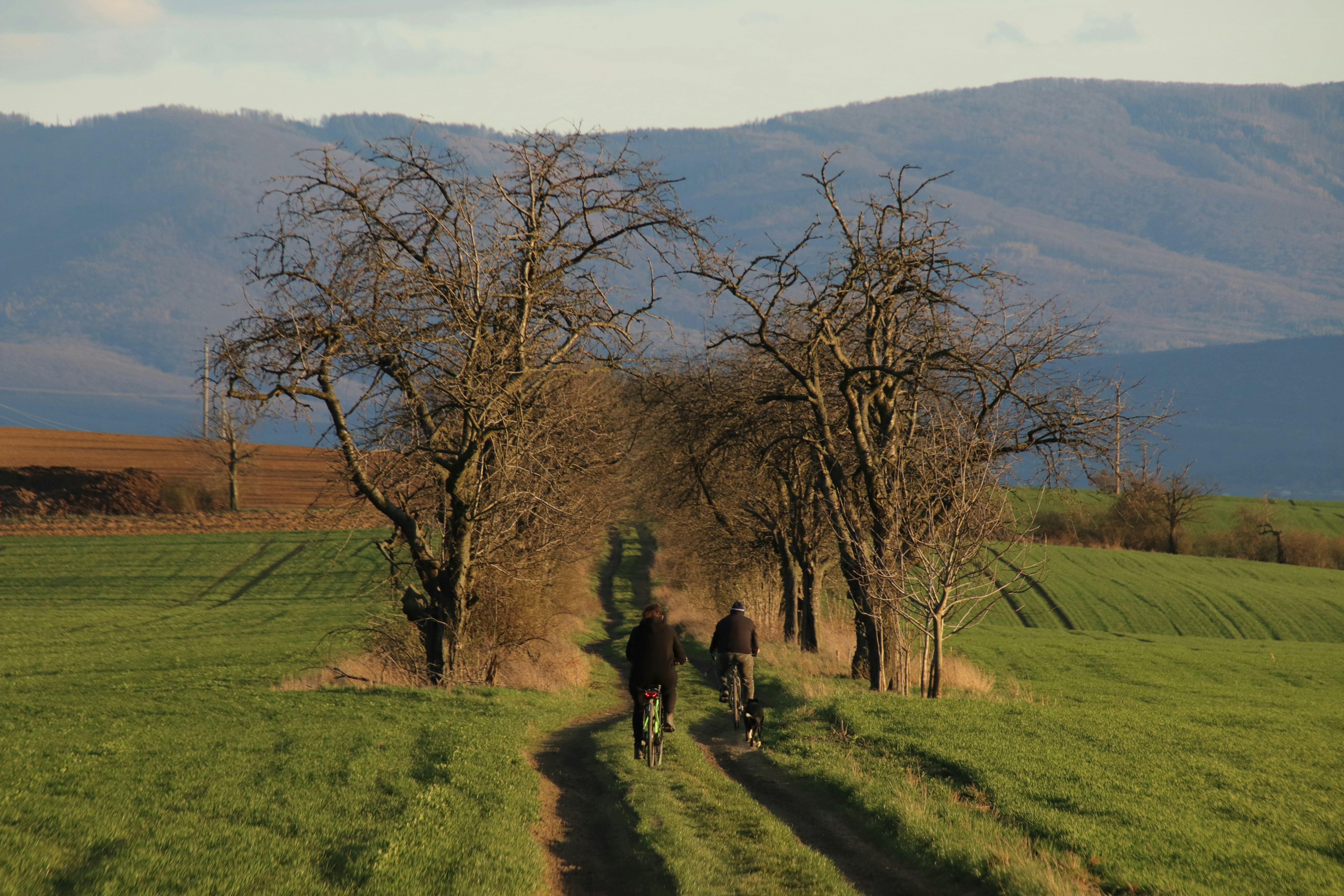 a couple of people riding bikes down a dirt road